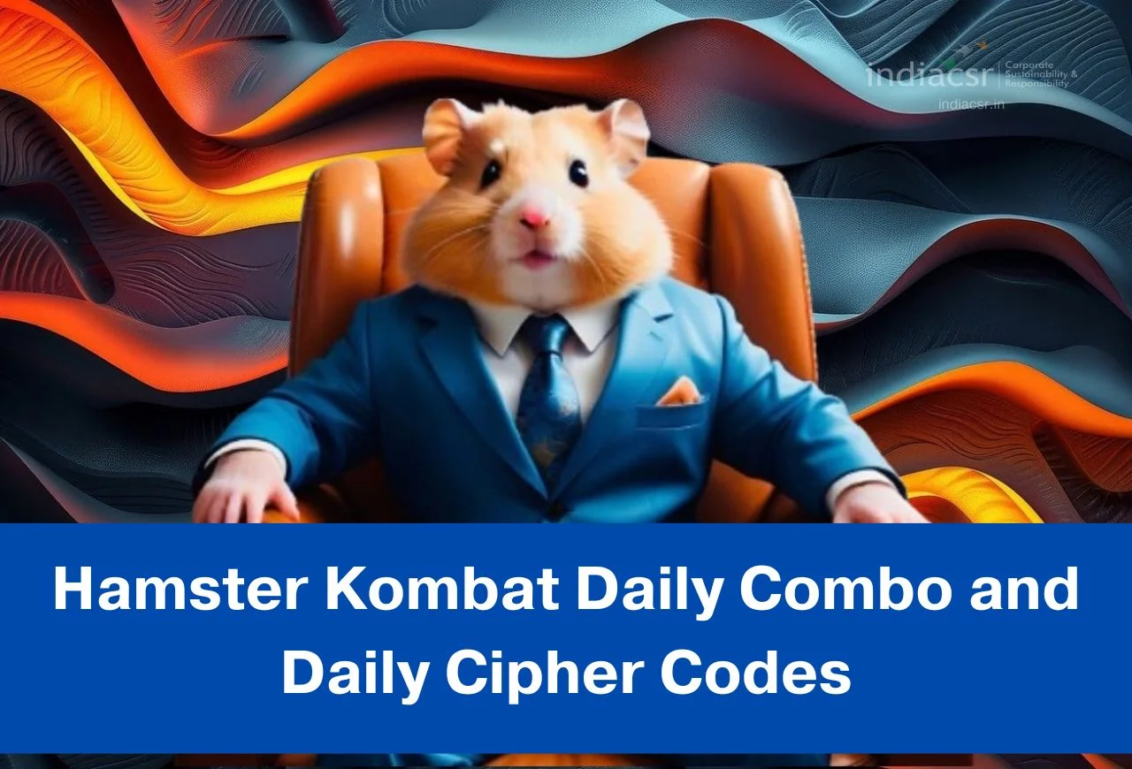 The Ultimate Guide to Hamster Kombat Daily Cipher