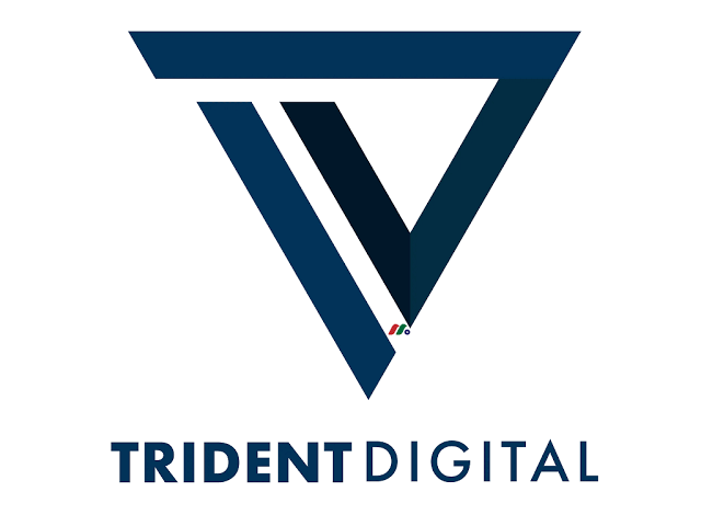 Why Should Investors Consider Investing in Trident Digital Tech Holdings?