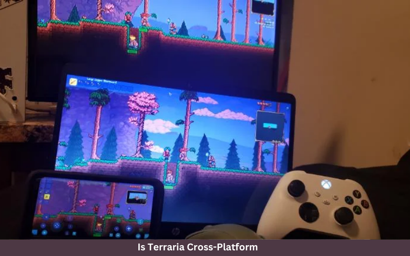 Is Terraria Cross-Platform