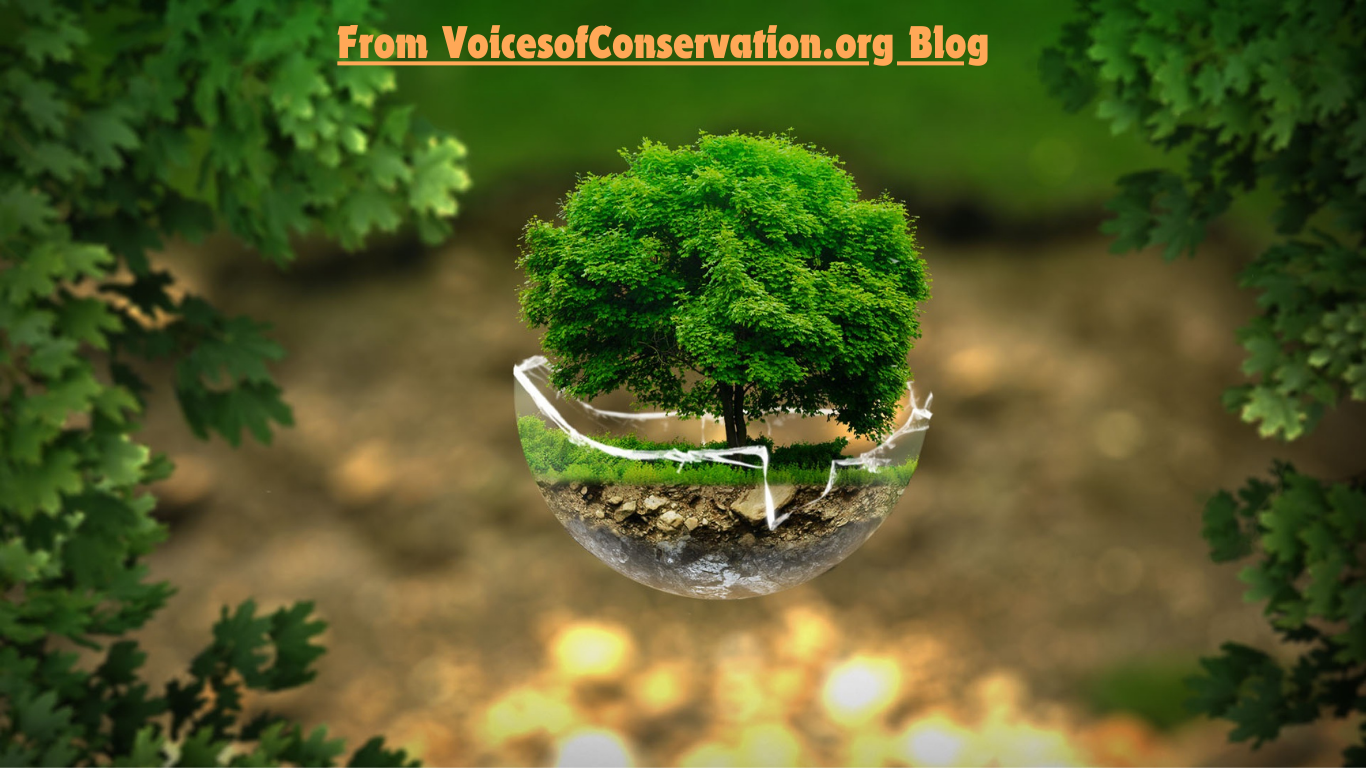 voices of conservation org blog